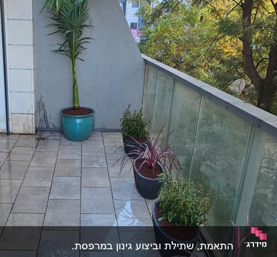 עציצים עם צמחים על מרפסת מרוצפת